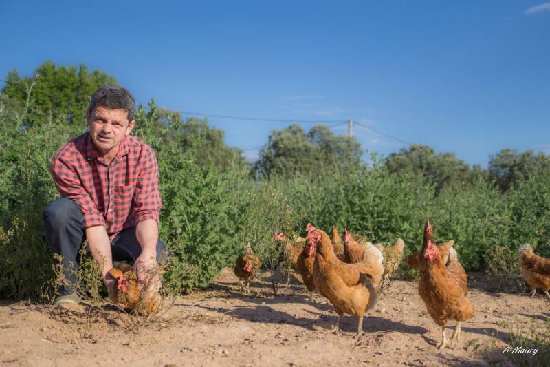 Oeufs coque BIO dans votre jardinerie coopérative agricole Sopavar à Sanary et à Six Fours près de Toulon dans le Var