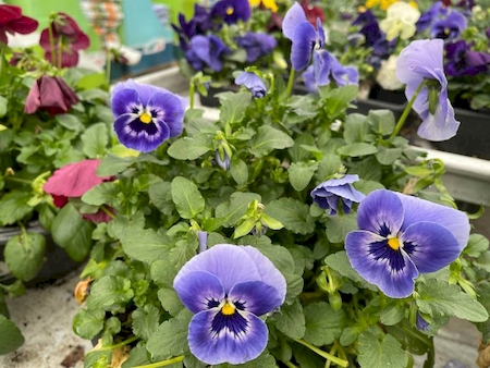 Notre zone d'activité pour ce service Magasin ustensiles et accessoires de cuisine pas cher