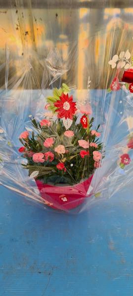 Nos prestations sur le secteur de Sanary-sur-Mer (83110), Var