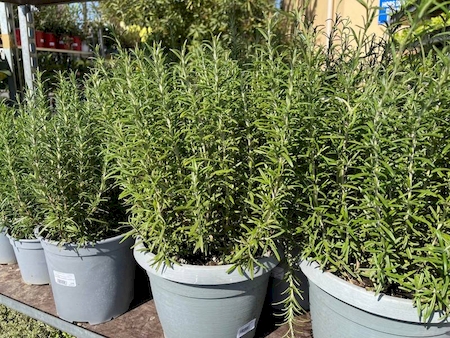 Nos prestations sur le secteur de Bandol (83150), Var 