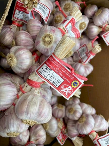 Notre zone d'activité pour ce service Vente de poterie, pots de fleurs, cache-pots et vases sur