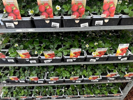 Nos prestations sur le secteur de Bandol (83150), Var 