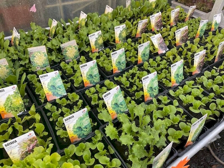 Notre zone d'activité pour ce service Primeur bio ouvert le dimanche à proximité de