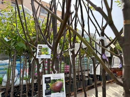 Notre zone d'activité pour ce service Magasin de produits régionaux pas cher