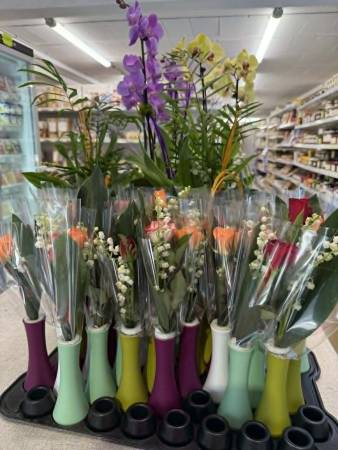Muguet 1er mai pas cher à Sanary et Six Fours près de Toulon – Coopératives Agricoles SOPAVAR ouvertes toute la journée