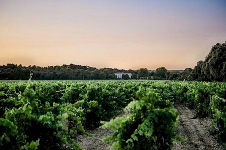 Nos prestations sur le secteur de Bandol (83150), Var 
